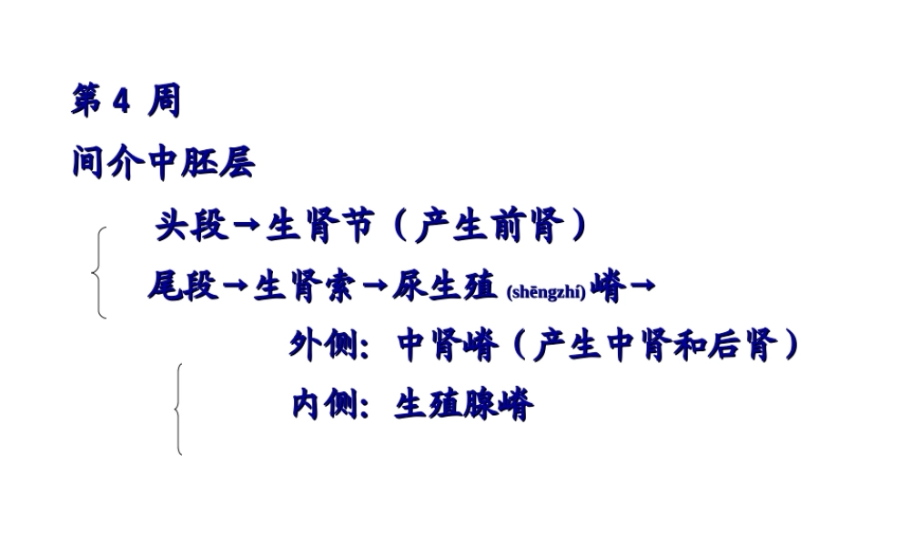 2022年医学专题—泌尿系统和生殖系统的发生(1).ppt