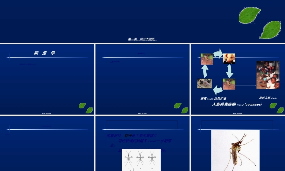 2022年医学专题—流行性乙型脑炎(全科)(1).ppt