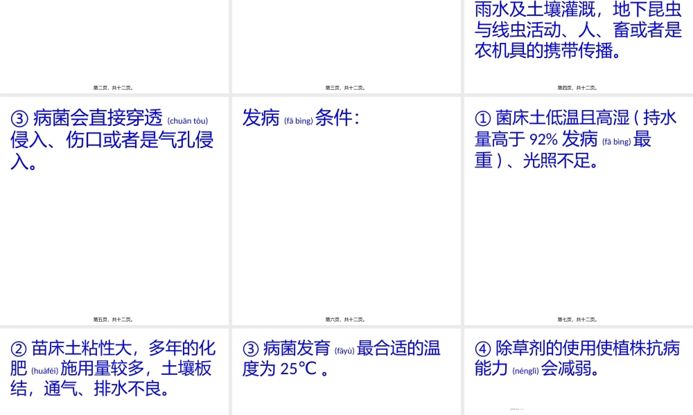 2022年医学专题—浅谈国槐的根腐病(1).pptx
