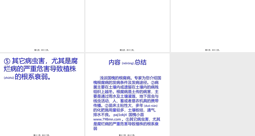 2022年医学专题—浅谈国槐的根腐病(1).pptx