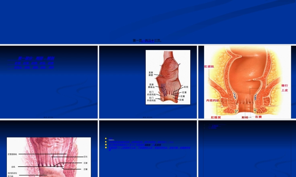 2022年医学专题—混合痔PPH与TST术试的比较(1).ppt