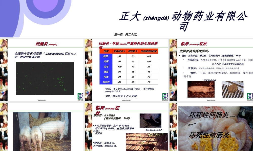 2022年医学专题—猪回肠炎---猪回肠炎简介(1).ppt