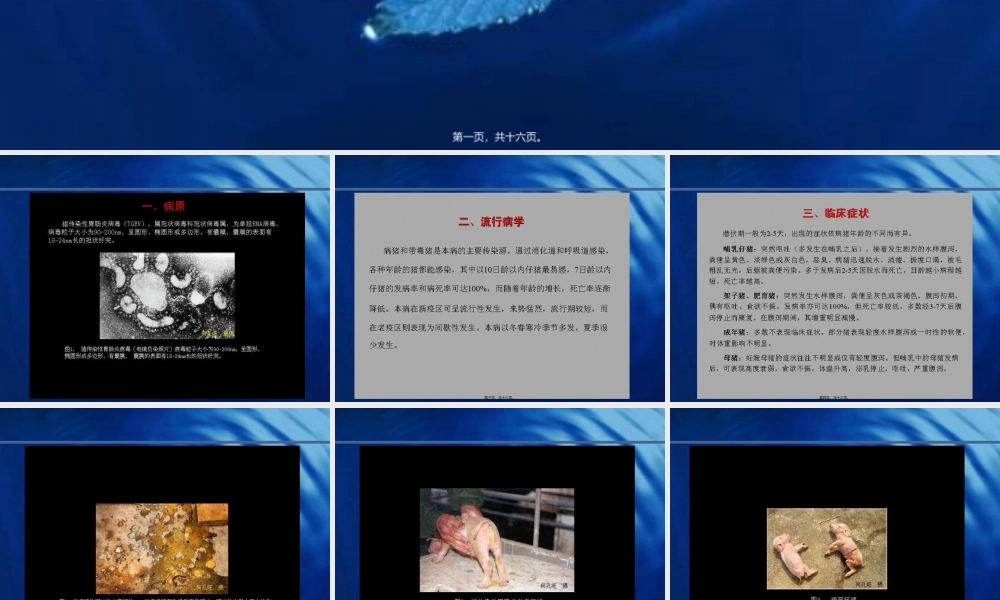 2022年医学专题—猪病图谱---猪传染性胃肠炎(1).ppt