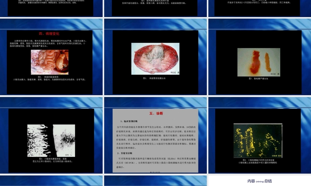 2022年医学专题—猪病图谱---猪传染性胃肠炎(1).ppt