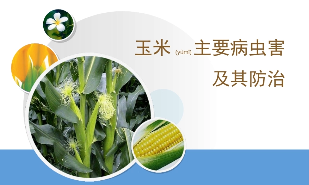 2022年医学专题—玉米主要病虫害及其防治(1).ppt