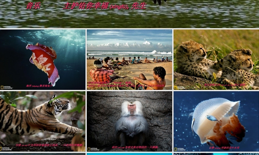 2022年医学专题—生命是何等奇妙-SlideBoom(1).ppt