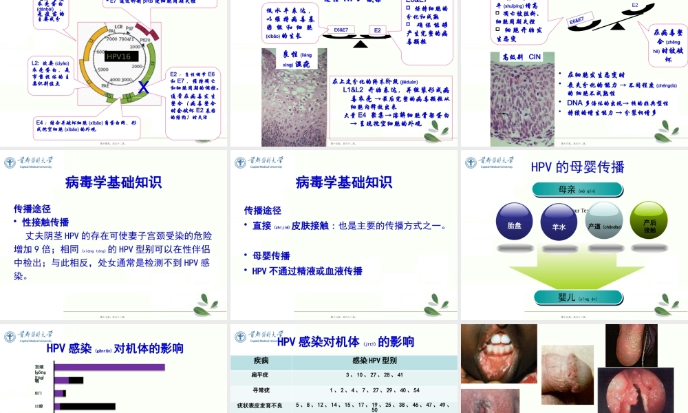 2022年医学专题—生育期女性HPV感染防治策略(1).pptx