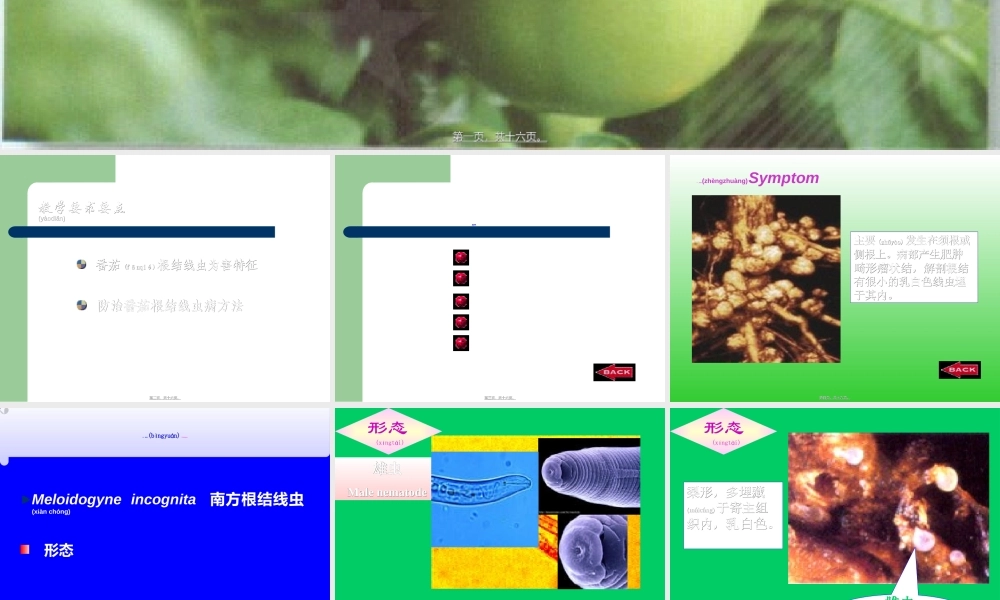 2022年医学专题—番茄根结线虫病(1).ppt