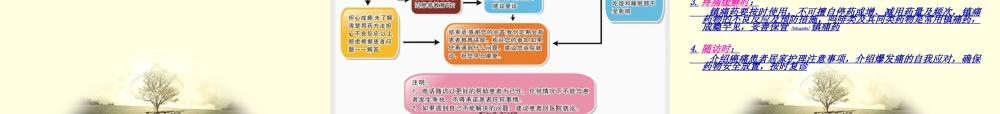 2022年医学专题—疼痛患者的宣教流程(1).ppt