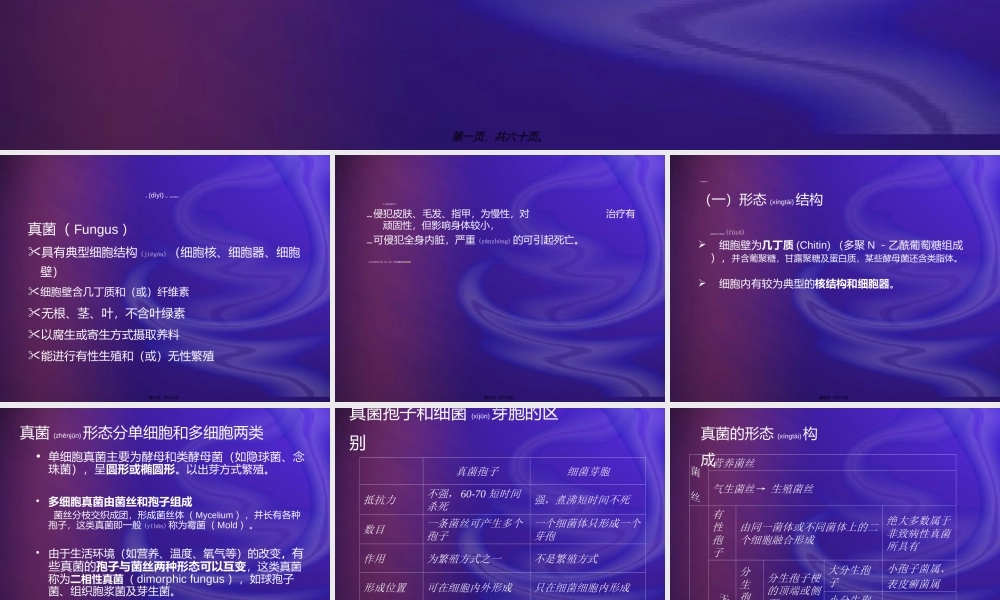 2022年医学专题—病原性真菌检验.(1).ppt