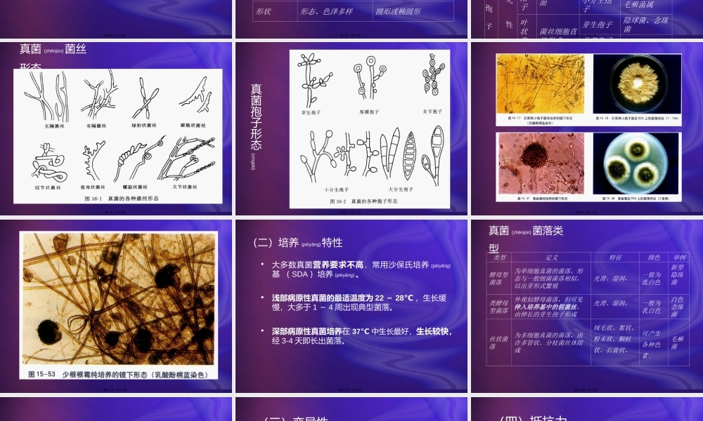 2022年医学专题—病原性真菌检验.(1).ppt