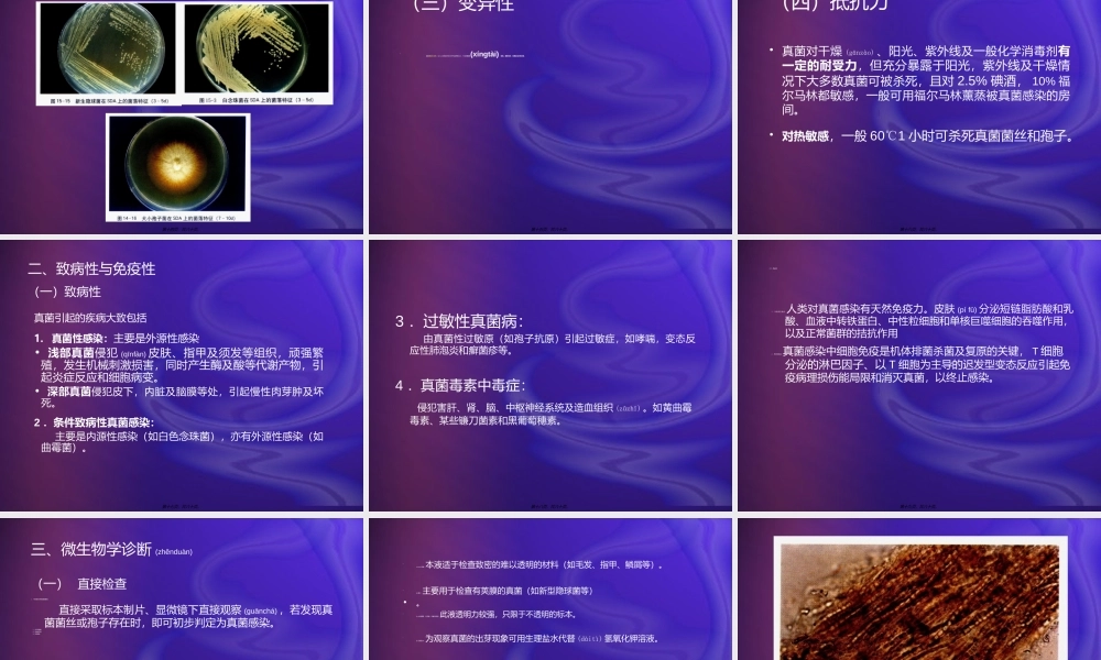 2022年医学专题—病原性真菌检验.(1).ppt
