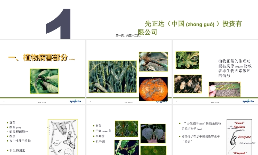 2022年医学专题—病害分类与农药使用技术-资料(1).ppt