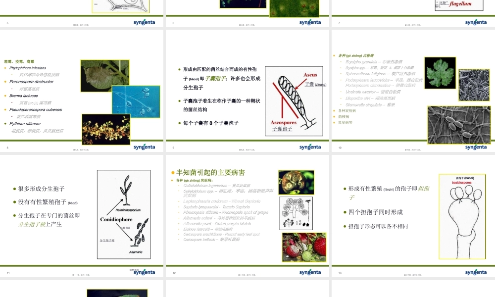 2022年医学专题—病害分类与农药使用技术-资料(1).ppt
