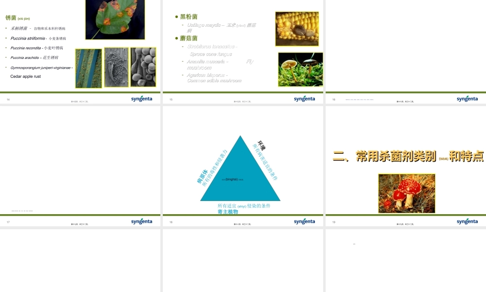 2022年医学专题—病害分类与农药使用技术-资料(1).ppt