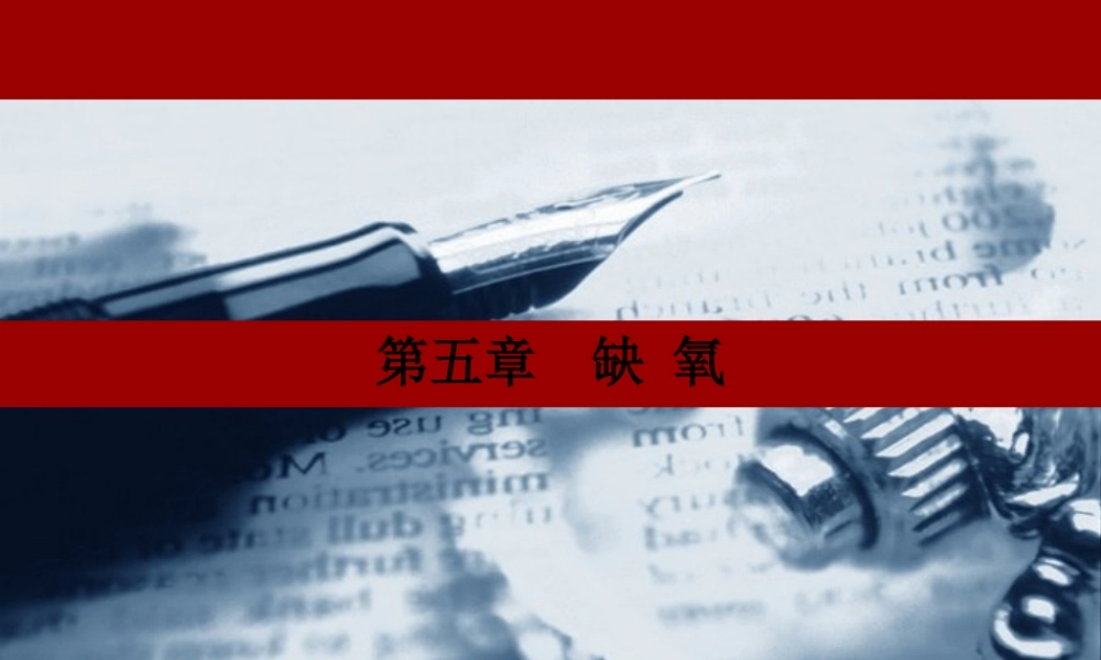 2022年医学专题—病生缺氧(1).ppt