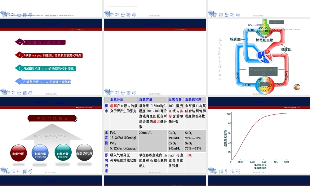 2022年医学专题—病生缺氧(1).ppt