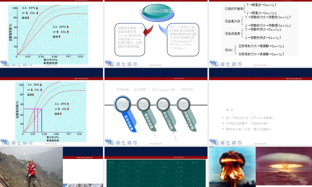 2022年医学专题—病生缺氧(1).ppt