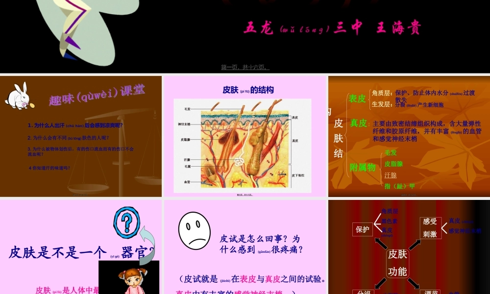2022年医学专题—皮肤与汗液分泌(1).ppt
