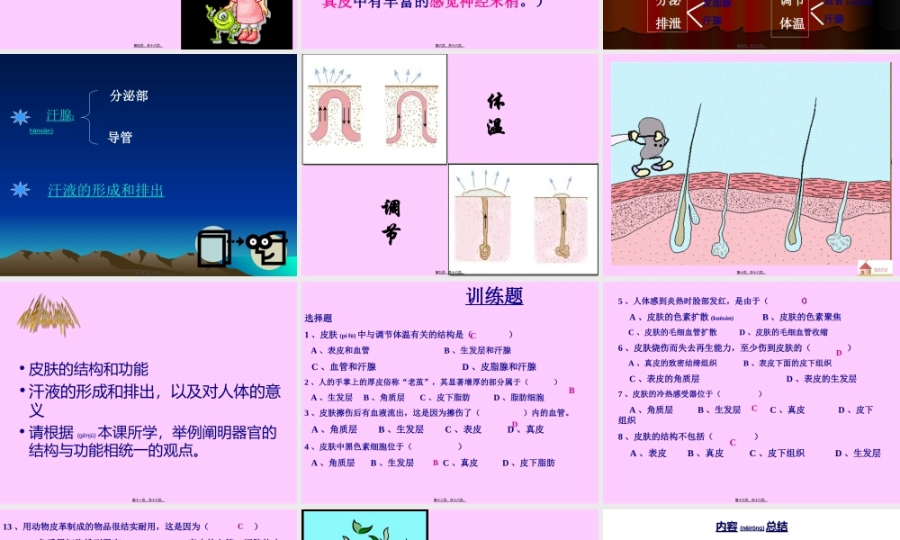 2022年医学专题—皮肤与汗液分泌(1).ppt