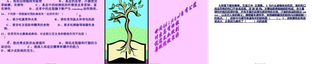 2022年医学专题—皮肤与汗液分泌(1).ppt