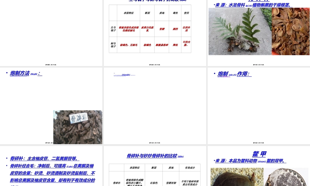 2022年医学专题—砂炒骨碎补(1).ppt