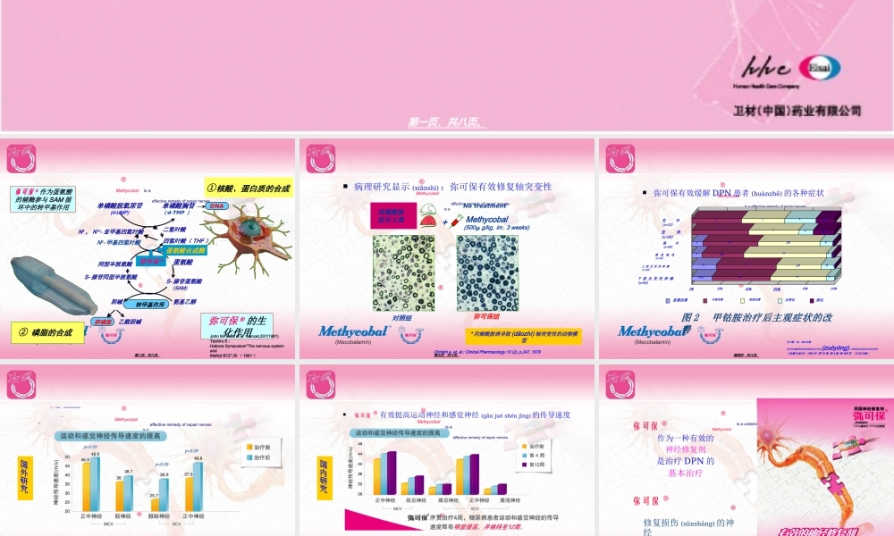 2022年医学专题—神经修复剂在DPN中的应用(1).ppt