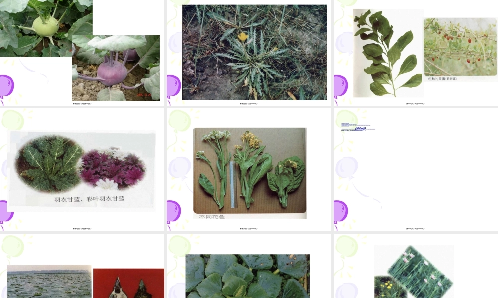 2022年医学专题—稀特蔬菜的营养品质春季(1).ppt