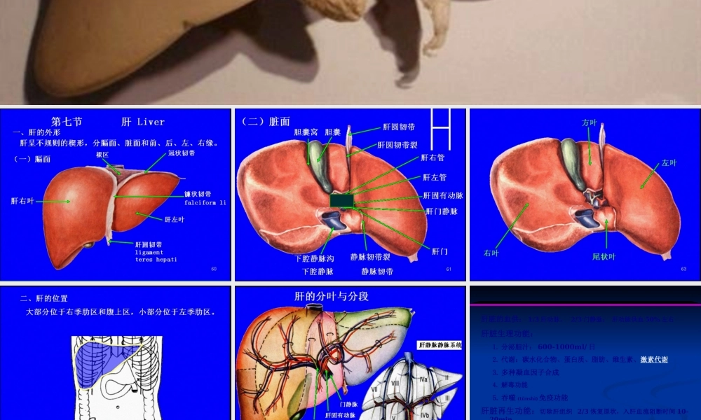 2022年医学专题—称为肝脓肿liverabscess(1).ppt