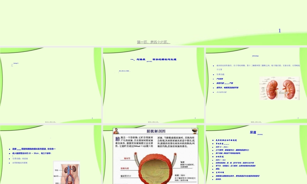 2022年医学专题—第6章(排尿)(1).ppt