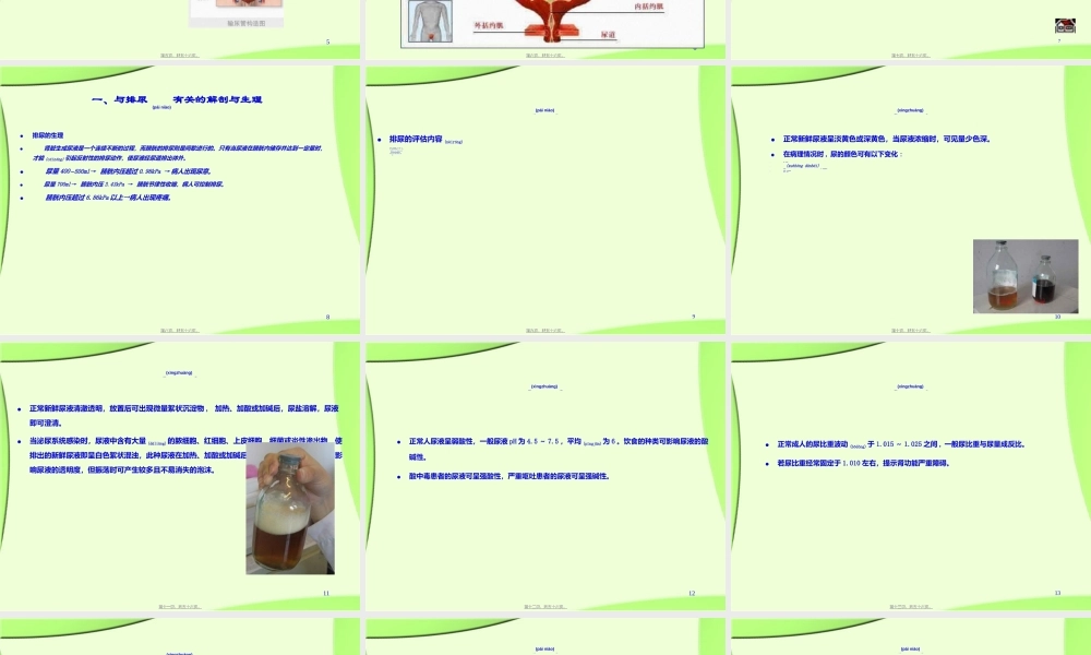 2022年医学专题—第6章(排尿)(1).ppt