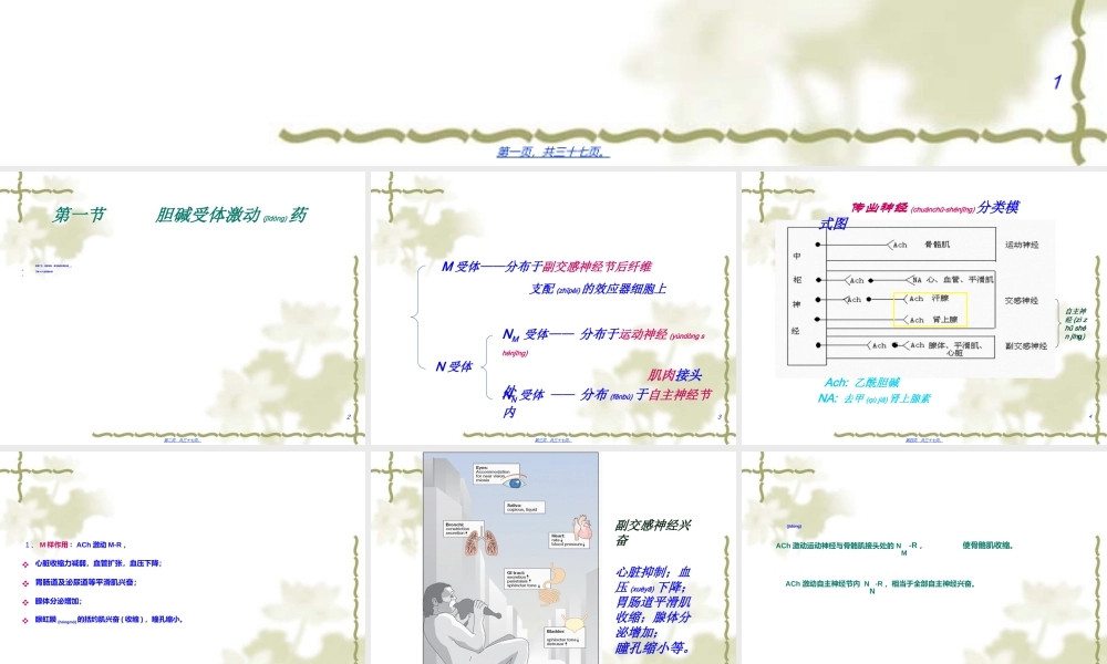 2022年医学专题—第6章-胆碱受体激动药和作用于胆碱酯酶药(1).ppt