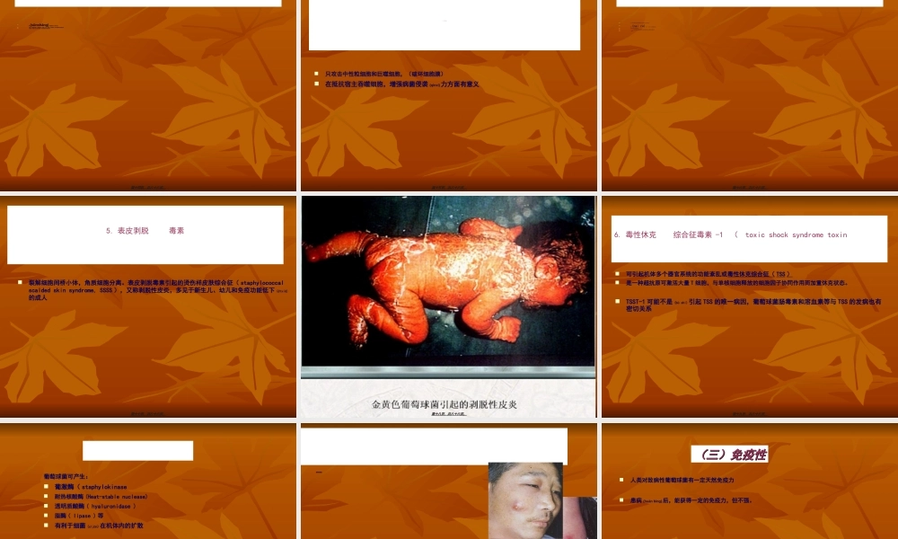 2022年医学专题—第8章-化脓性细菌(1).ppt