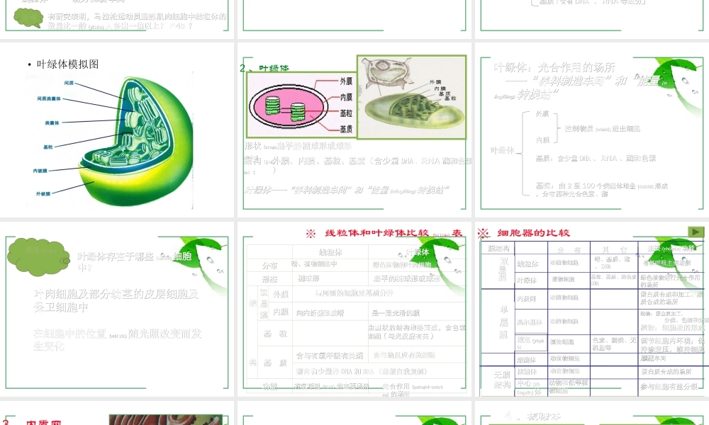 2022年医学专题—第三章第二节细胞器──系统内的分工合作.ppt(1).ppt