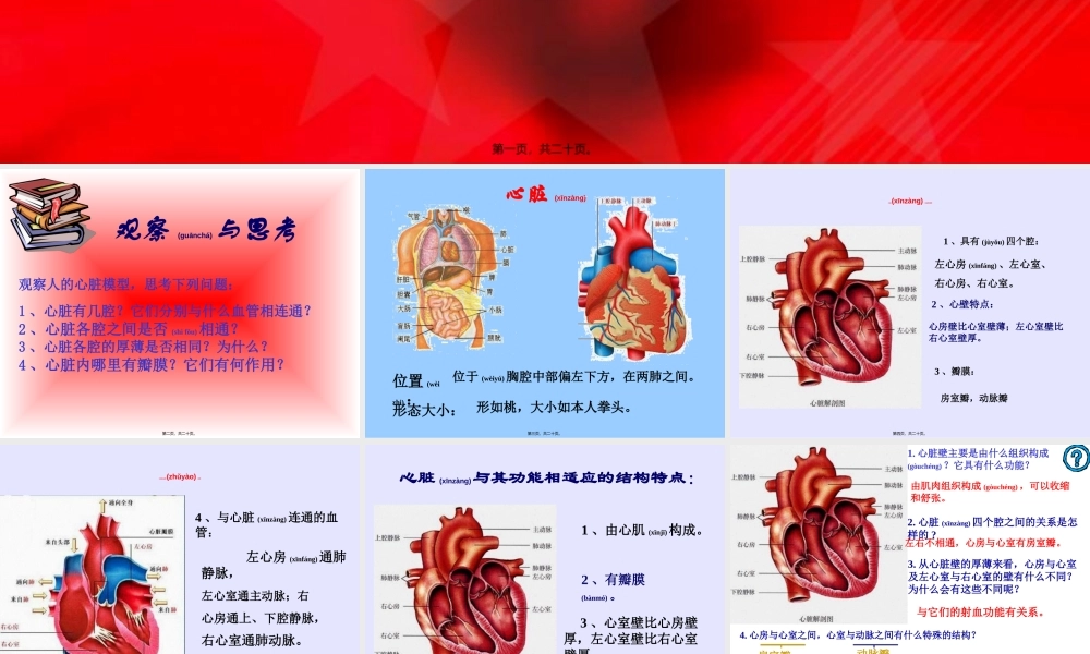 2022年医学专题—第三节-输送血液的泵—心脏(1).ppt