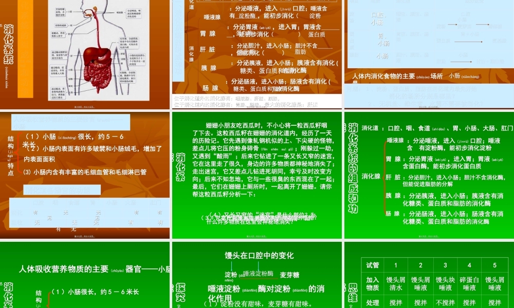 2022年医学专题—第二讲人体的营养复习课..(1).ppt