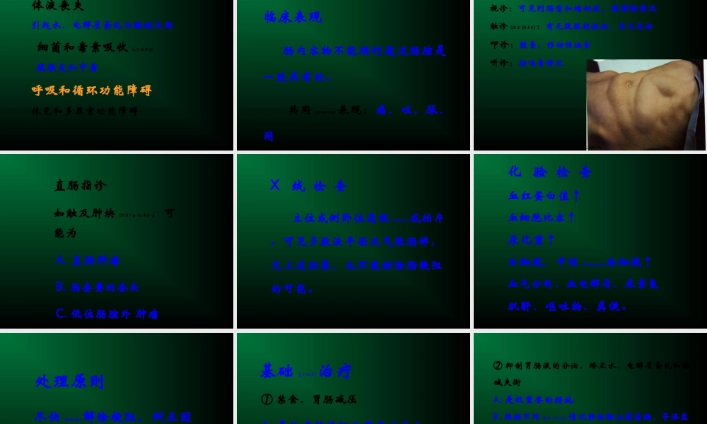 2022年医学专题—第五版-肠梗阻(1).ppt