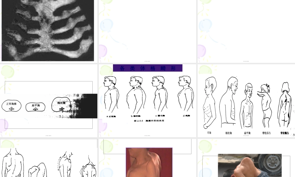 2022年医学专题—第五章--胸部.第二节-胸壁1ppt(1).ppt