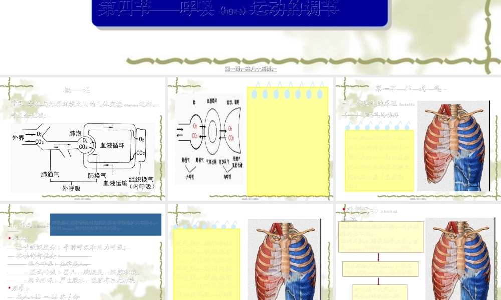 2022年医学专题—第五章-呼吸(1).ppt