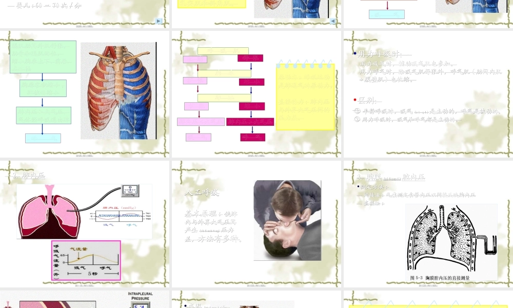 2022年医学专题—第五章-呼吸(1).ppt