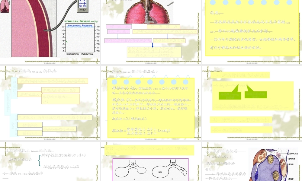 2022年医学专题—第五章-呼吸(1).ppt