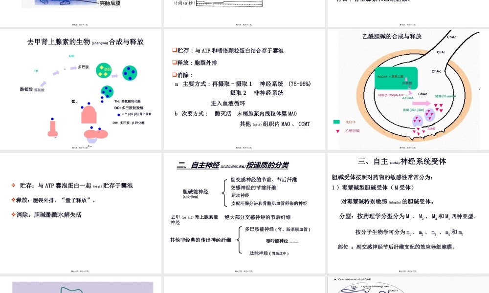 2022年医学专题—第五章-自主神经系统药理讲述(1).ppt