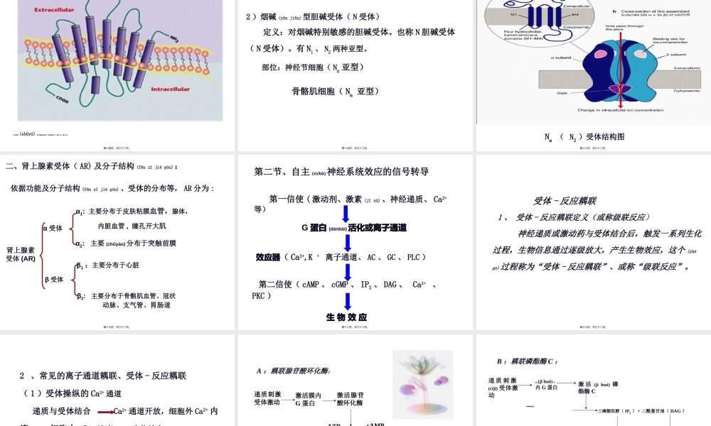 2022年医学专题—第五章-自主神经系统药理讲述(1).ppt