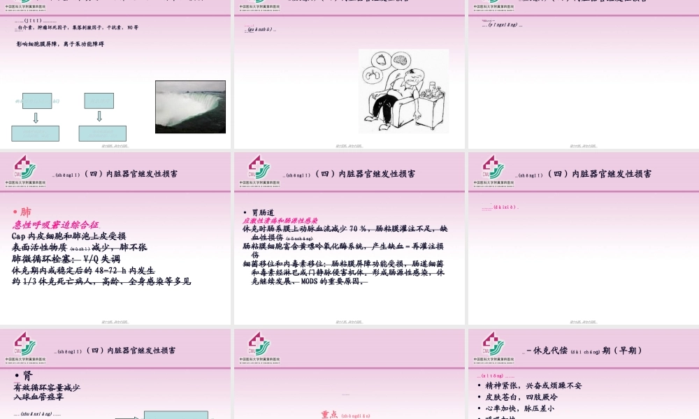 2022年医学专题—第五章-外科休克(1).ppt