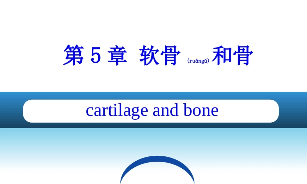 2022年医学专题—第五章-软骨和骨(1).ppt