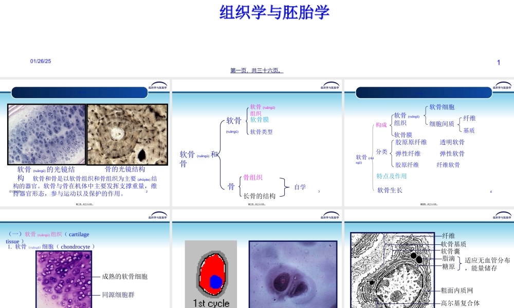 2022年医学专题—第五章-软骨和骨(1).ppt