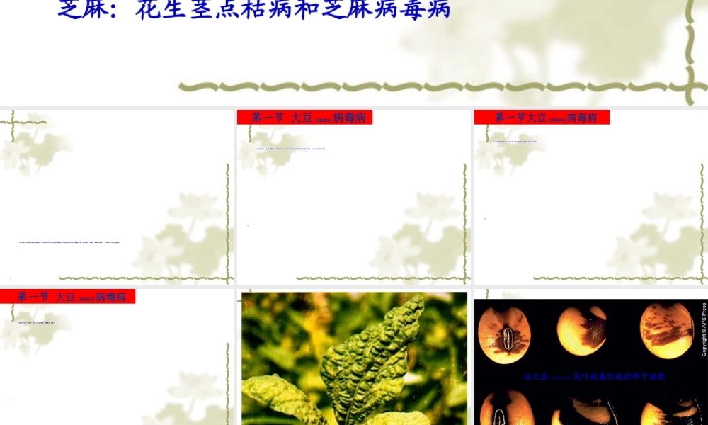 2022年医学专题—第五节-油料作物病害分析(1).ppt