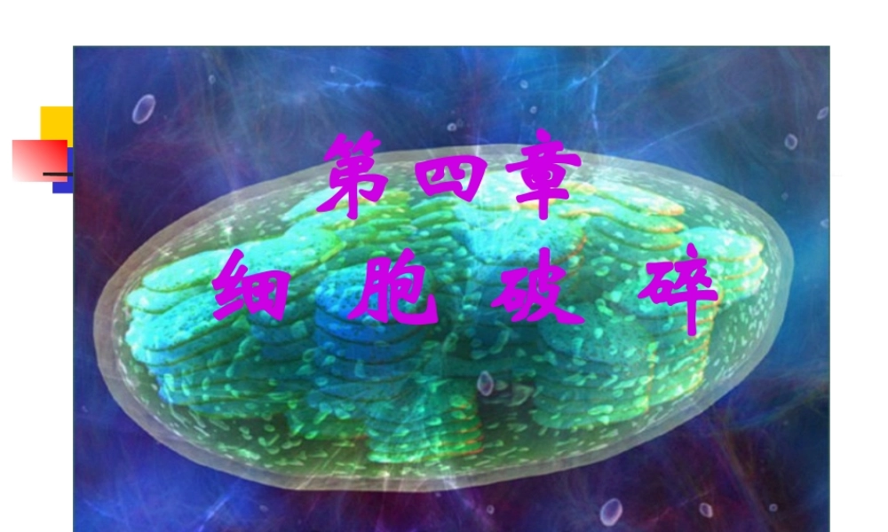 2022年医学专题—第四章-细胞破碎..(1).ppt