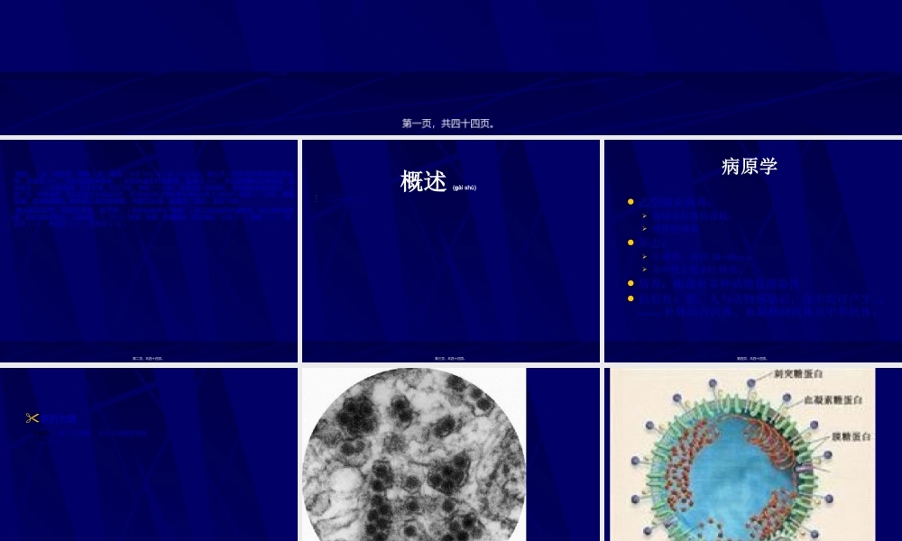 2022年医学专题—第四讲----流行性乙型脑炎(1).ppt