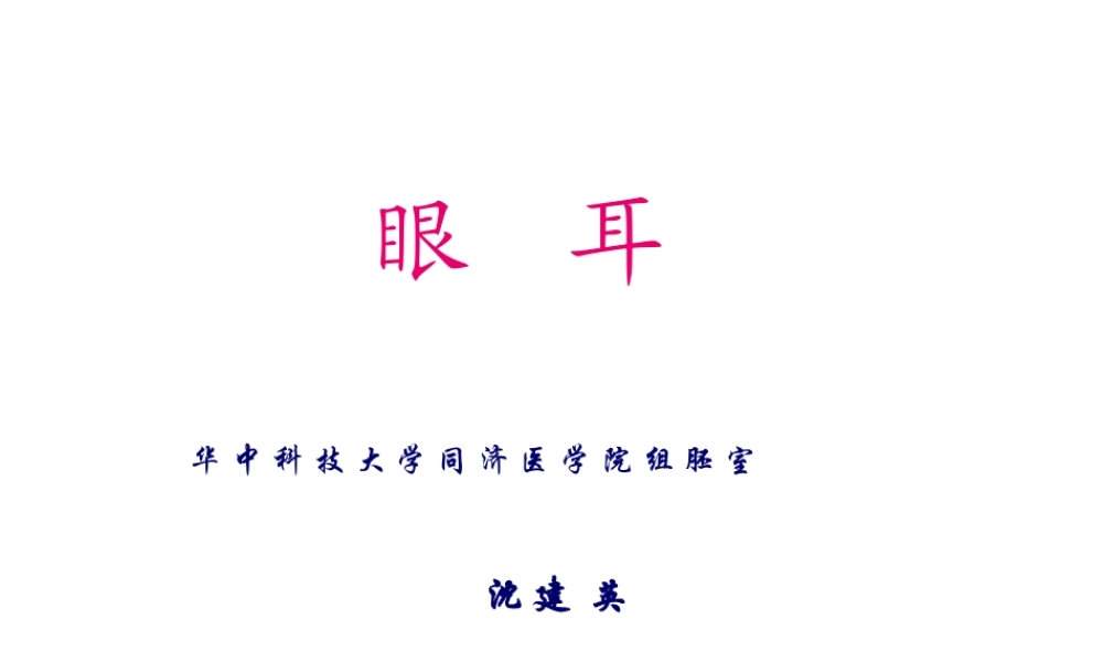 2022年医学专题—组织学与胚胎学-眼球眼睑内耳(1).ppt